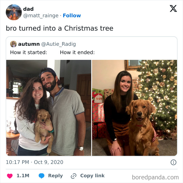 Hey Pandas, Post The Funniest Meme You’ve Seen