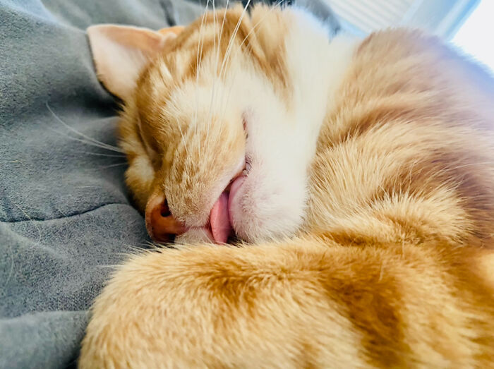 My Baby Has A Little Overbite