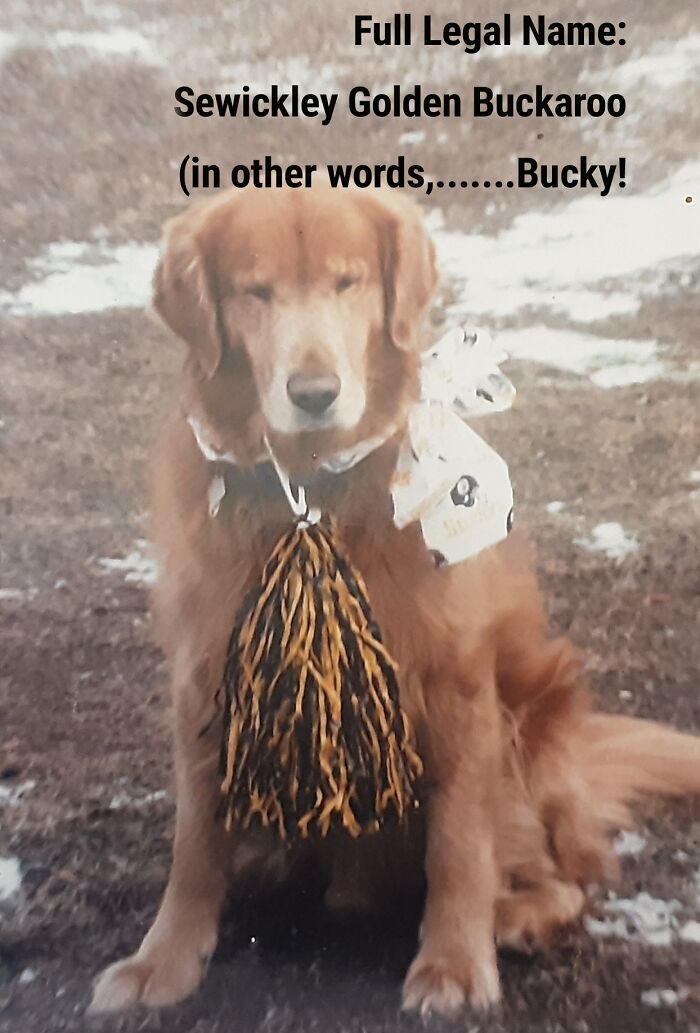 Bucky!