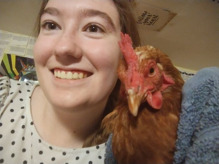 I'm So Happy I Grew Up With Chickens, Here Is My Story