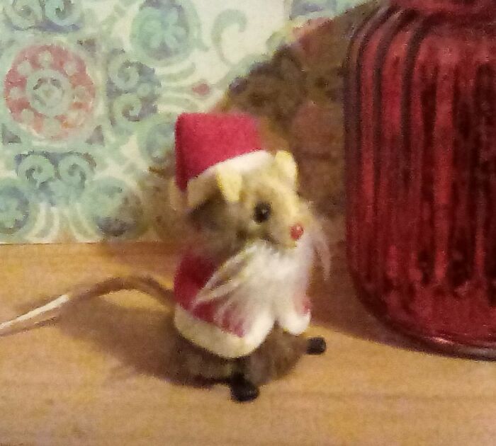 My Mom Gave Me Crismouse The Year Before She Died. I Love Him!