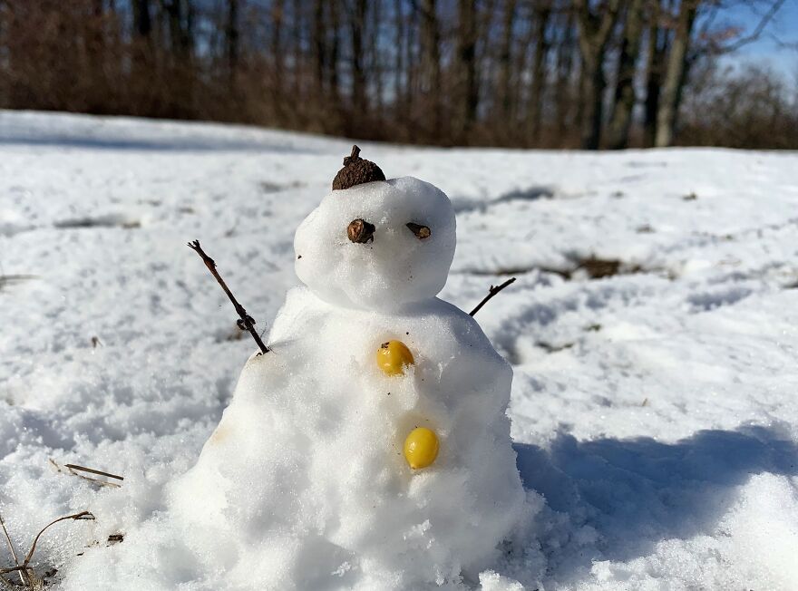 Chubby Mini Snowman