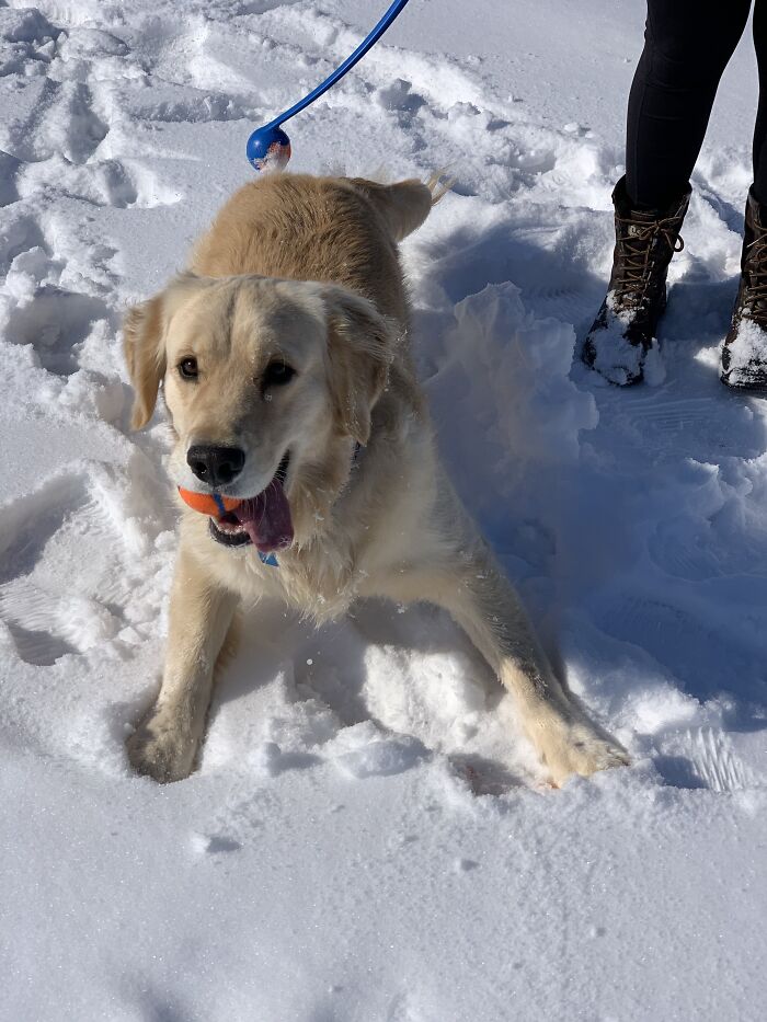 Nash Enjoying!