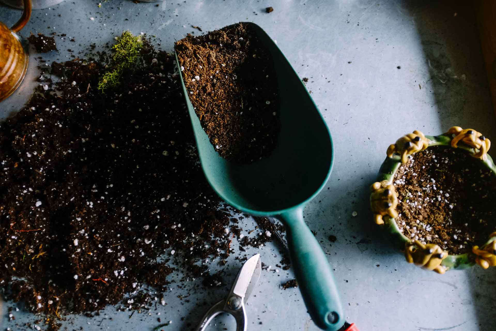 Blue garden shovel filled with brown soil on a table