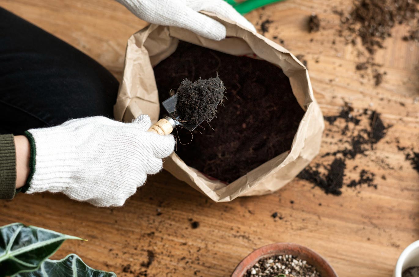 A person with gloves doing indoor gardening and taking soil out of the bag