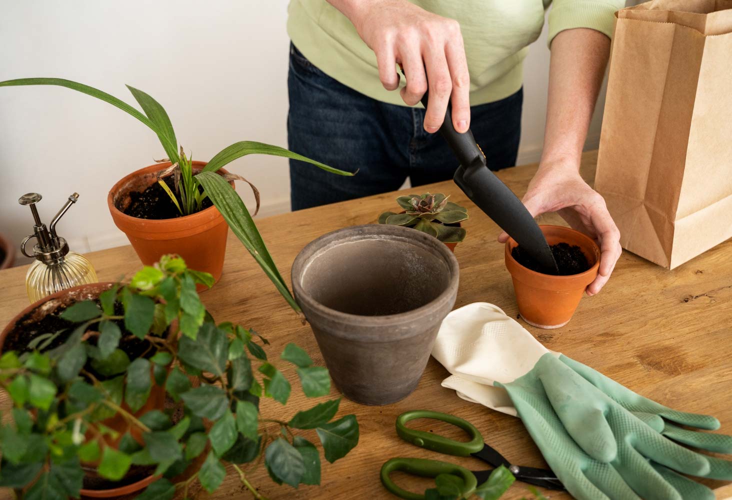 Person transplanting plants into new pots