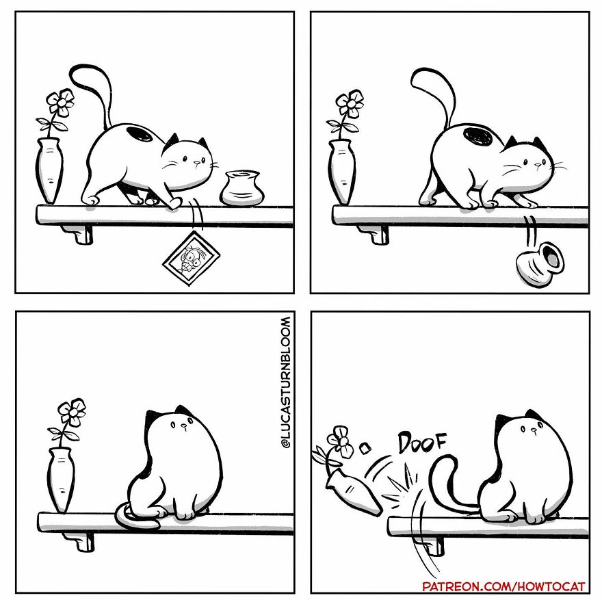 New Comics Illustrating The Funny Life Of A Kitten Who Found A New Home