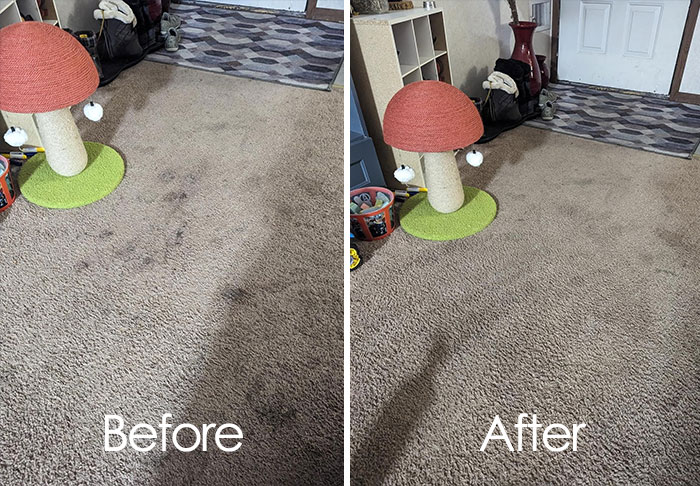 Bye-Bye Blots And Spots: Folex Carpet Spot Remover Is Your Carpet's New Secret Weapon - Say Hello To Immaculate Floors