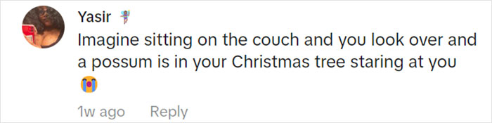 Jolly Wild Possum Discovered In Texas Woman’s Christmas Tree After It Sneezes Jolly Wild Possum Discovered In Texas Woman’s Christmas Tree After It Sneezes