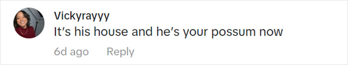 Jolly Wild Possum Discovered In Texas Woman’s Christmas Tree After It Sneezes Jolly Wild Possum Discovered In Texas Woman’s Christmas Tree After It Sneezes