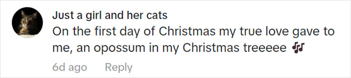 Jolly Wild Possum Discovered In Texas Woman’s Christmas Tree After It Sneezes Jolly Wild Possum Discovered In Texas Woman’s Christmas Tree After It Sneezes