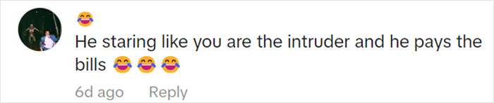 Jolly Wild Possum Discovered In Texas Woman’s Christmas Tree After It Sneezes Jolly Wild Possum Discovered In Texas Woman’s Christmas Tree After It Sneezes