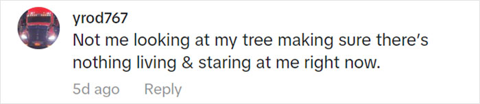 Jolly Wild Possum Discovered In Texas Woman’s Christmas Tree After It Sneezes Jolly Wild Possum Discovered In Texas Woman’s Christmas Tree After It Sneezes