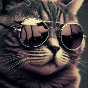 oliverbosscat2011 avatar