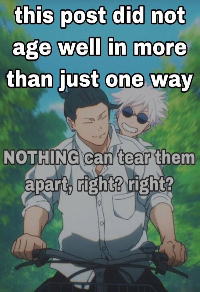 My Poor Little Pookies :(