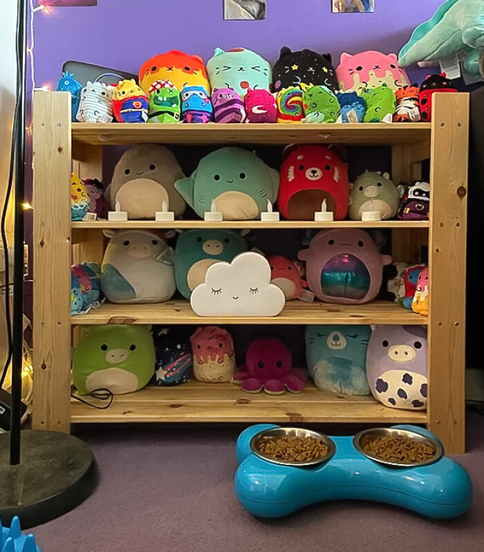 Light wooden shelf with many colorful soft toys in it
