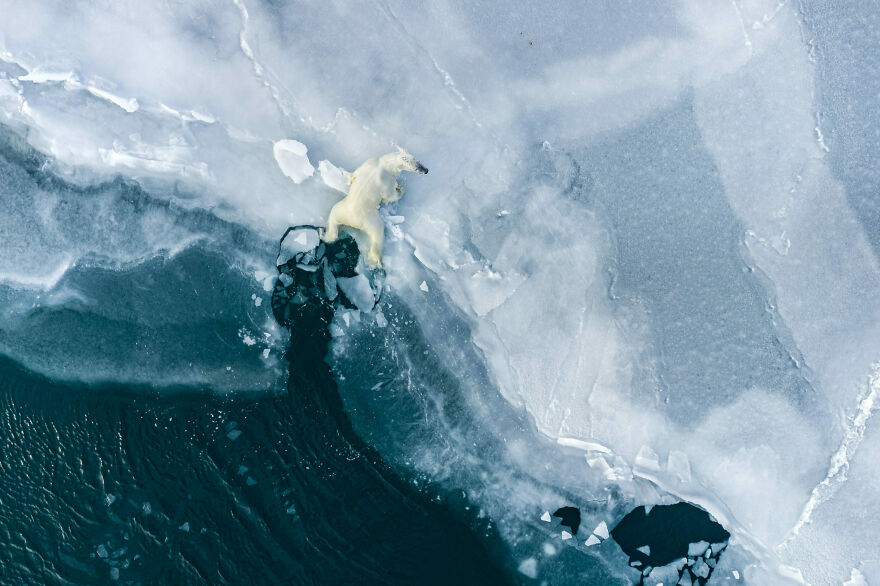 Conservation (Impact) Photographer Of The Year, 1st Place Winner Florian Ledoux