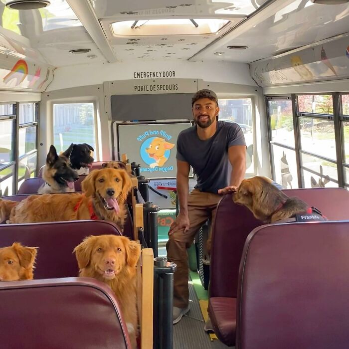 Guy Converts A School Bus To Take Dogs On Daily Adventures Guy Converts A School Bus To Take Dogs On Daily Adventures