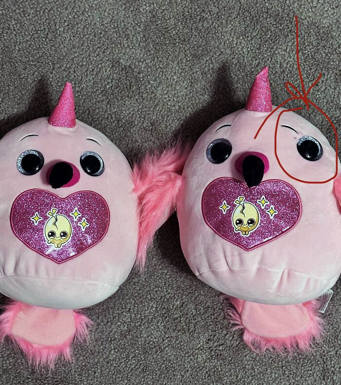 My Twin Daughters Got The Same Toy For Their Birthday, But One Has A Very Off-Centered Eye
