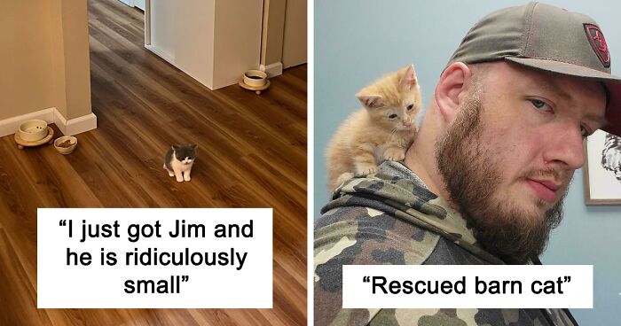 50 Of The Most Heartwarming Pics Of Happily Adopted Pets (December Edition)