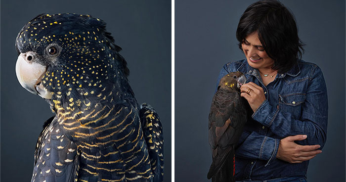 Professional Photographer Captures Perfectly Posed Birds In Her Photo Series (37 New Pics)