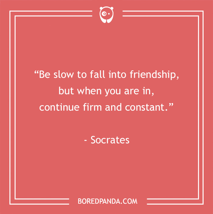 139 Best Friend Quotes To Sweeten The Bond