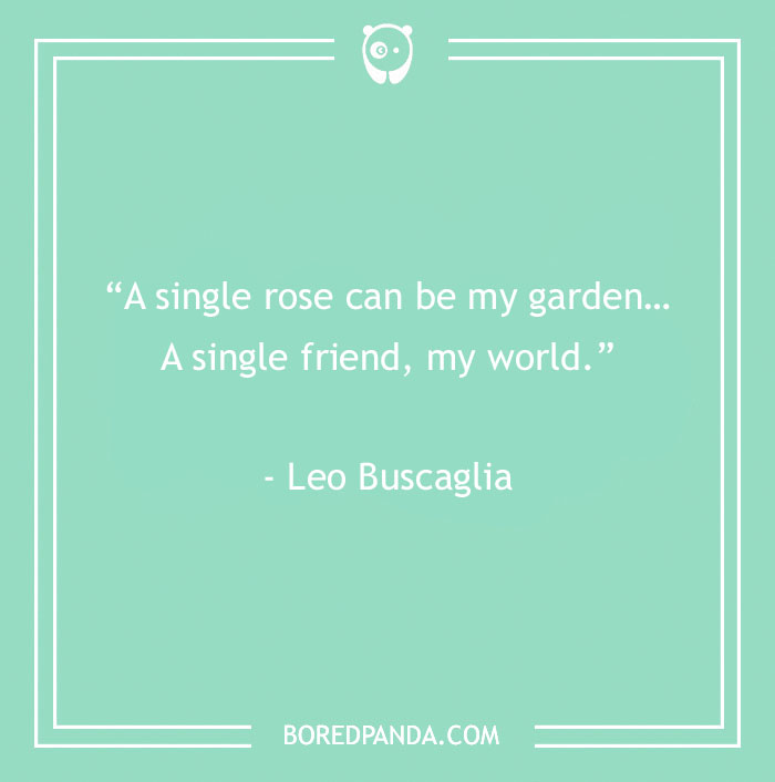 139 Best Friend Quotes To Sweeten The Bond