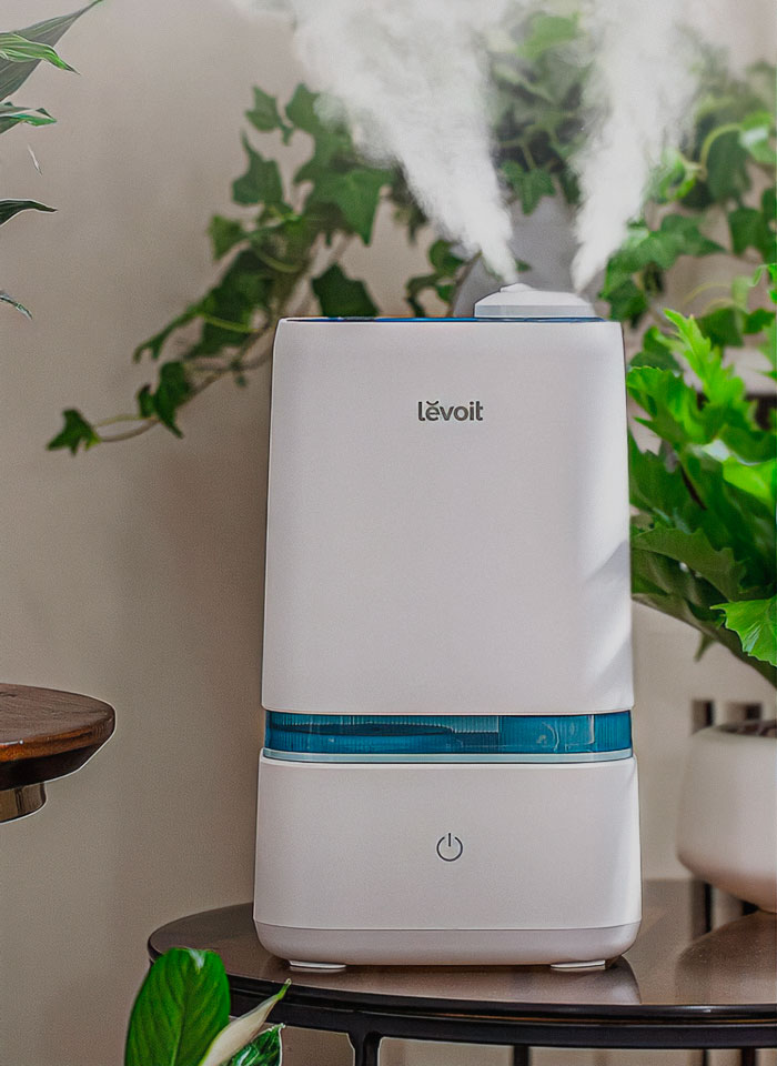 Best Humidifier In 2024 Ranked By People’s Reviews Bored Panda