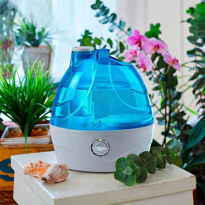 Humidifier on the base between plants