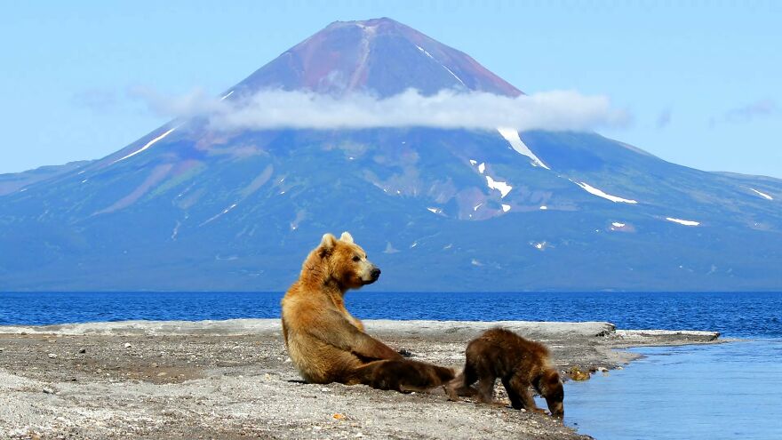 I Spent 5 Days Among Bears At The Edge Of The World