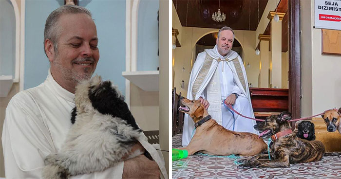 Loving Priest Turns Church Services Into Adoption Fairs For Stray Dogs (21 New Pics)