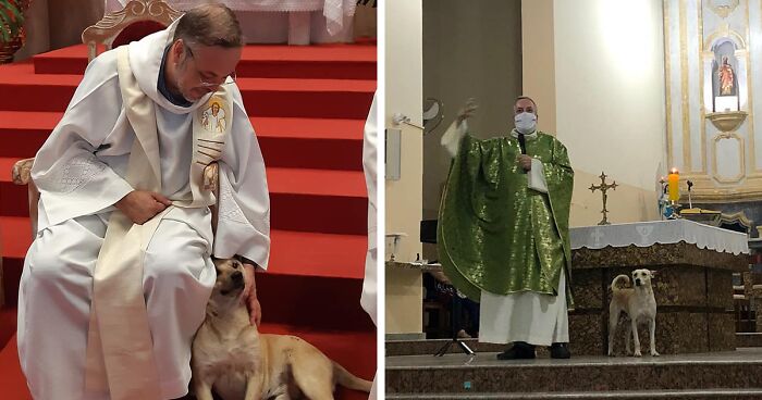 Loving Priest Turns Church Services Into Adoption Fairs For Stray Dogs ...