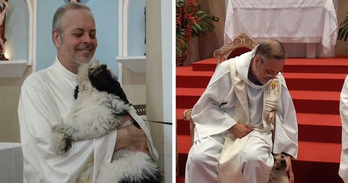 Loving Priest Turns Church Services Into Adoption Fairs For Stray Dogs (21 New Pics)