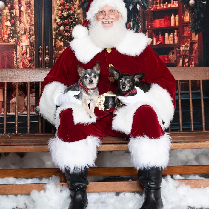 Here's My Little Russell (On Right) With His Buddy Cujo Seeing Santa Paws