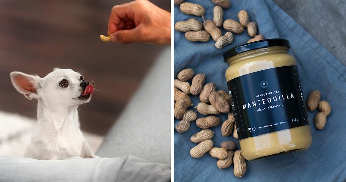Are Peanuts and Peanut Butter Safe for Dogs? Must-Know Food Safety for Your Pet