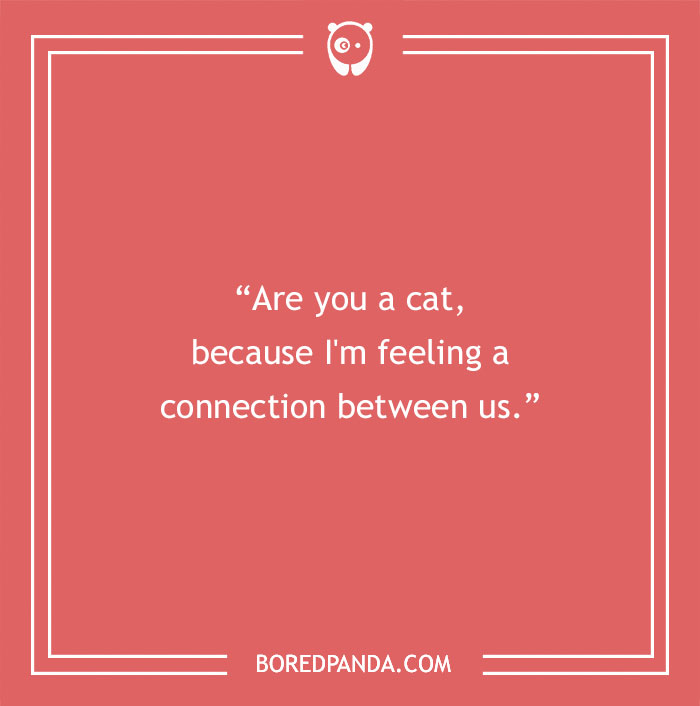 171 Cheesy Pick-Up Lines For That Perfect First Impression