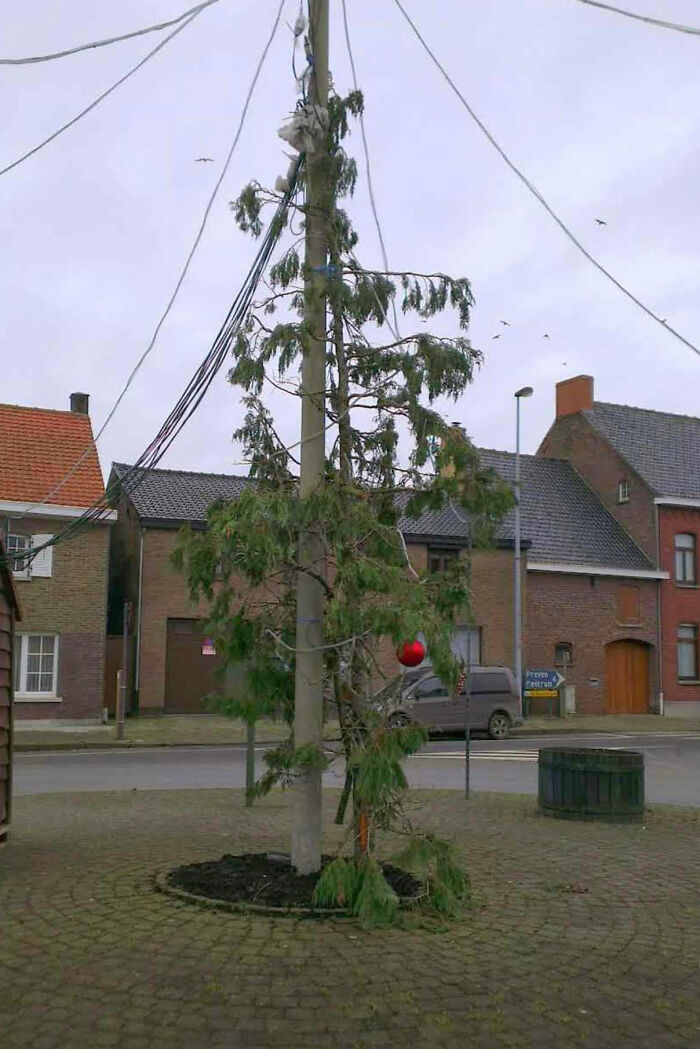 El intento de poner un árbol de Navidad en mi vecindario