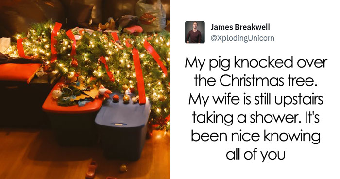 35 Funny Tweets That Capture The Authenticity Of The ‘Magical’ Christmas Tree Decorating Season