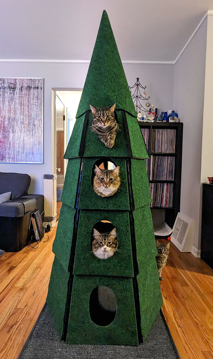 I Put Up A Christmas Tree That We Encourage Our Cats To Climb Into