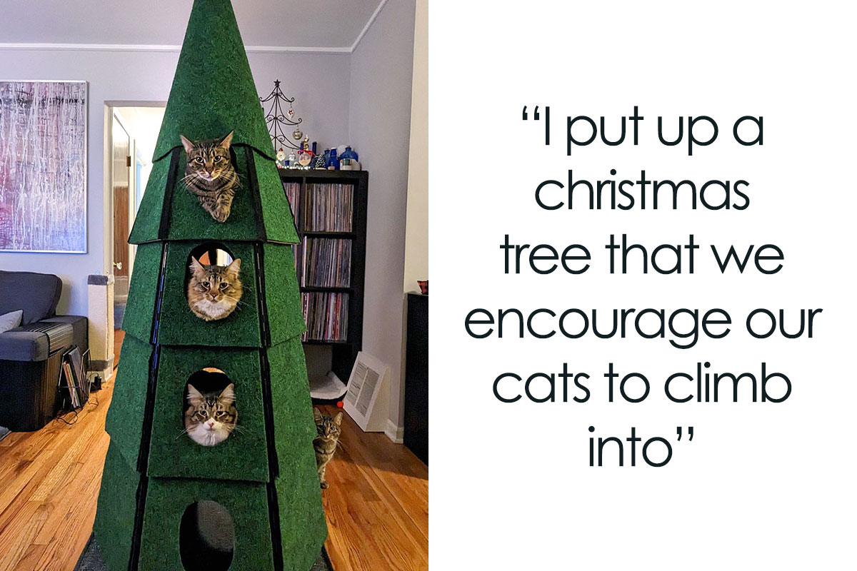 50 People That Got So Creative With Their Christmas Trees, They Had To