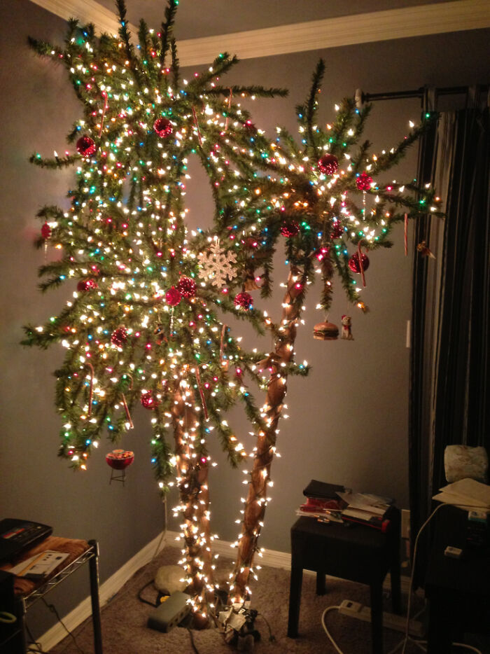 The Christmas Palm Tree! I Live In Southern California ;)