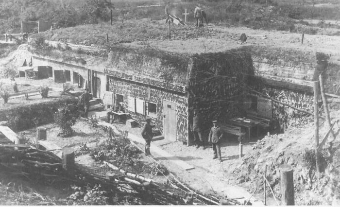 “Asbestos Tastes Like Chalk”: 35 People Share Their “Don’t Ask How I Know” Random Facts