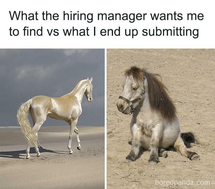 30 Of The Best Memes From “Funny Recruiter” Instagram Page | Bored Panda
