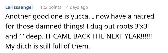 “I’m Playing The Long Game”: Woman Waits 5 Years For Revenge On Landlord To “Break Ground” “I’m Playing The Long Game”: Woman Waits 5 Years For Revenge On Landlord To “Break Ground”