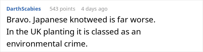 “I’m Playing The Long Game”: Woman Waits 5 Years For Revenge On Landlord To “Break Ground” “I’m Playing The Long Game”: Woman Waits 5 Years For Revenge On Landlord To “Break Ground”