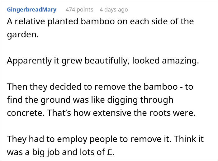 “I’m Playing The Long Game”: Woman Waits 5 Years For Revenge On Landlord To “Break Ground” “I’m Playing The Long Game”: Woman Waits 5 Years For Revenge On Landlord To “Break Ground”