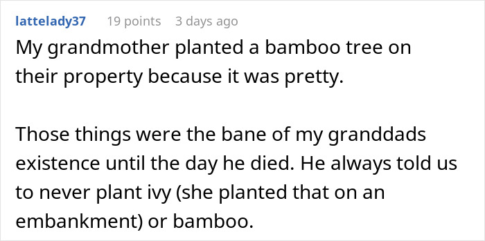 “I’m Playing The Long Game”: Woman Waits 5 Years For Revenge On Landlord To “Break Ground” “I’m Playing The Long Game”: Woman Waits 5 Years For Revenge On Landlord To “Break Ground”
