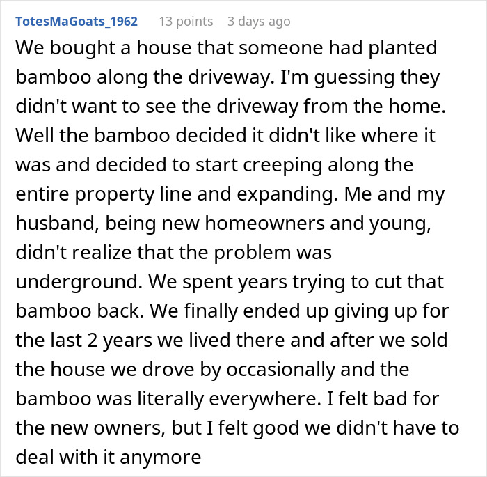 “I’m Playing The Long Game”: Woman Waits 5 Years For Revenge On Landlord To “Break Ground” “I’m Playing The Long Game”: Woman Waits 5 Years For Revenge On Landlord To “Break Ground”