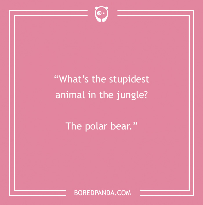 Pink card with a funny dad joke: "What's the stupidest animal in the jungle? The polar bear."