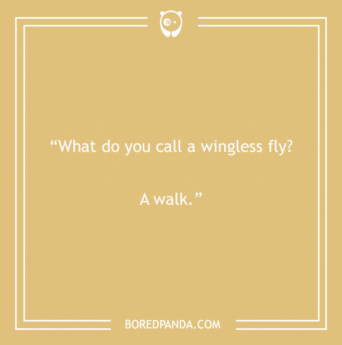 Funny dad joke image with text: "What do you call a wingless fly? A walk."